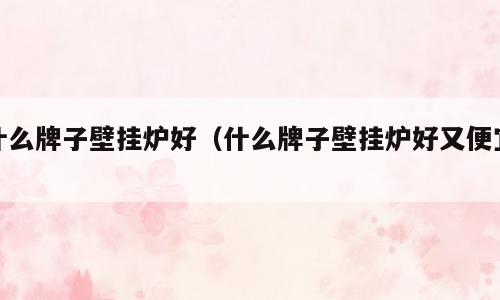什么牌子壁挂炉好（什么牌子壁挂炉好又便宜）
