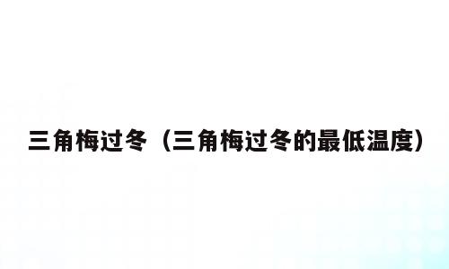 三角梅过冬（三角梅过冬的最低温度）