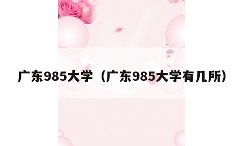 广东985大学（广东985大学有几所）