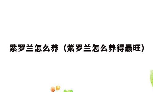 紫罗兰怎么养（紫罗兰怎么养得最旺）