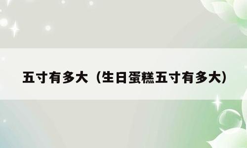 五寸有多大（生日蛋糕五寸有多大）
