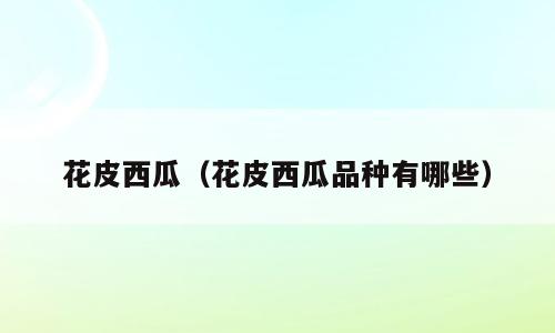 花皮西瓜（花皮西瓜品种有哪些）
