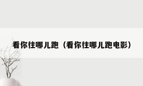 看你往哪儿跑（看你往哪儿跑电影）