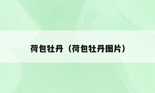 荷包牡丹（荷包牡丹图片）