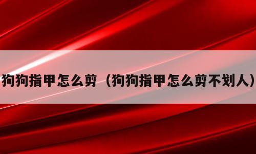 狗狗指甲怎么剪（狗狗指甲怎么剪不划人）