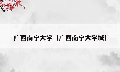 广西南宁大学（广西南宁大学城）