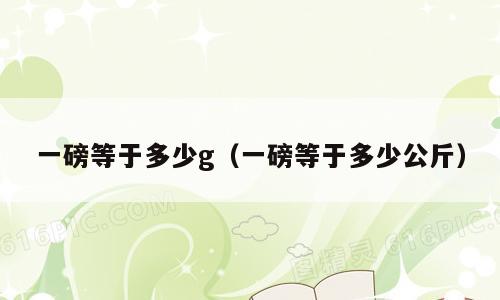 一磅等于多少g（一磅等于多少公斤）