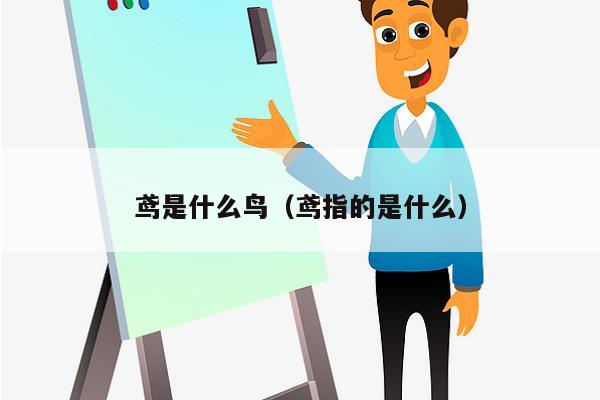 鸢是什么鸟（鸢指的是什么）