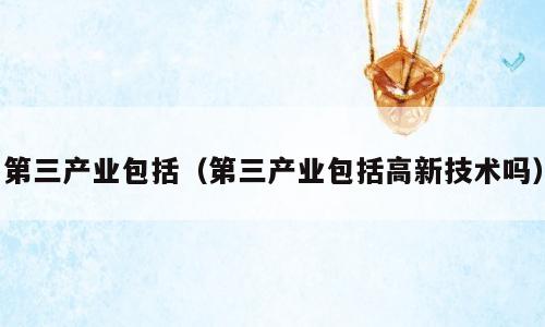 第三产业包括（第三产业包括高新技术吗）