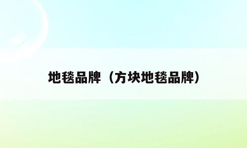 地毯品牌（方块地毯品牌）