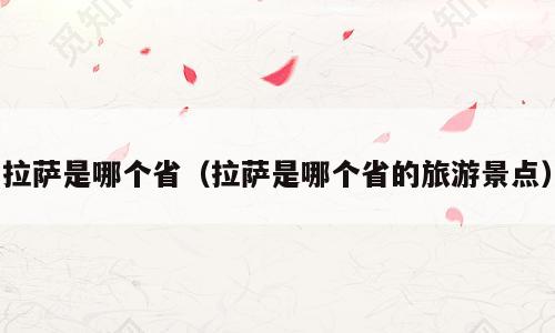 拉萨是哪个省（拉萨是哪个省的旅游景点）
