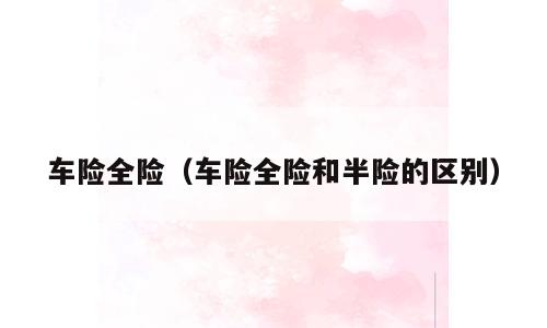 车险全险（车险全险和半险的区别）