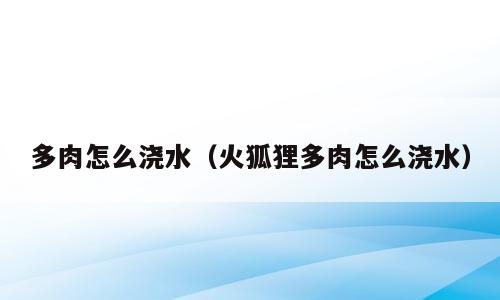 多肉怎么浇水（火狐狸多肉怎么浇水）