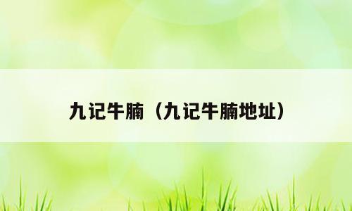 九记牛腩（九记牛腩地址）