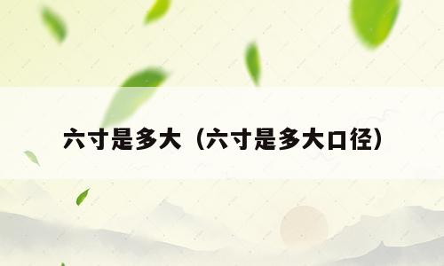 六寸是多大（六寸是多大口径）