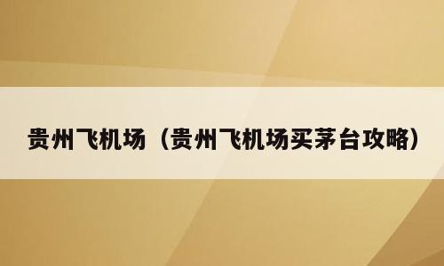 贵州飞机场（贵州飞机场买茅台攻略）