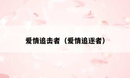 爱情追击者（爱情追逐者）