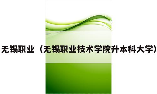 无锡职业（无锡职业技术学院升本科大学）