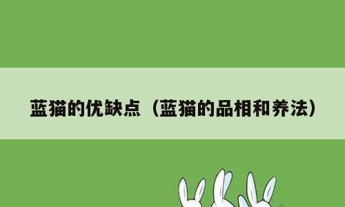 蓝猫的优缺点（蓝猫的品相和养法）