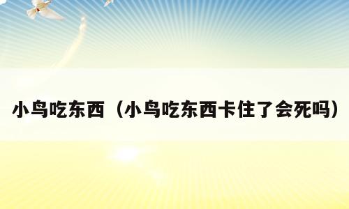 小鸟吃东西（小鸟吃东西卡住了会死吗）
