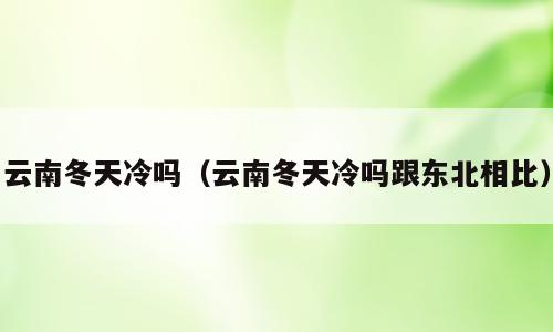 云南冬天冷吗（云南冬天冷吗跟东北相比）