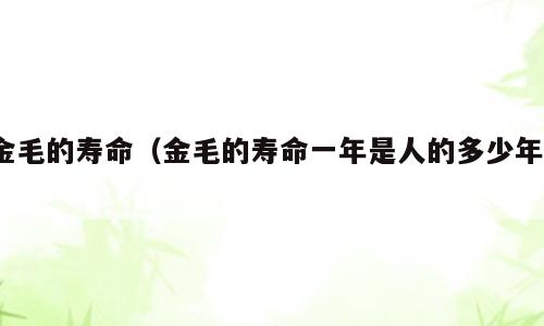 金毛的寿命（金毛的寿命一年是人的多少年?）