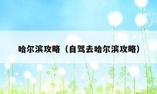 哈尔滨攻略（自驾去哈尔滨攻略）