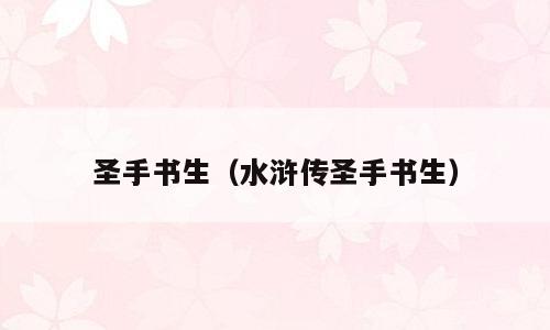 圣手书生（水浒传圣手书生）