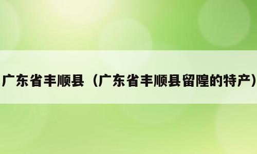 广东省丰顺县（广东省丰顺县留隍的特产）