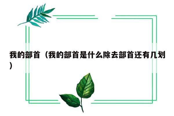 我的部首（我的部首是什么除去部首还有几划）