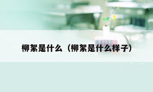柳絮是什么（柳絮是什么样子）