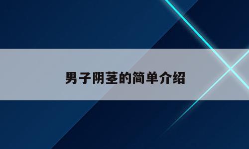 男子阴茎的简单介绍