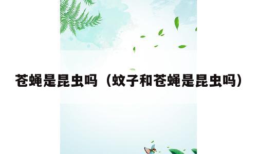 苍蝇是昆虫吗（蚊子和苍蝇是昆虫吗）