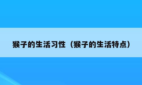 猴子的生活习性（猴子的生活特点）