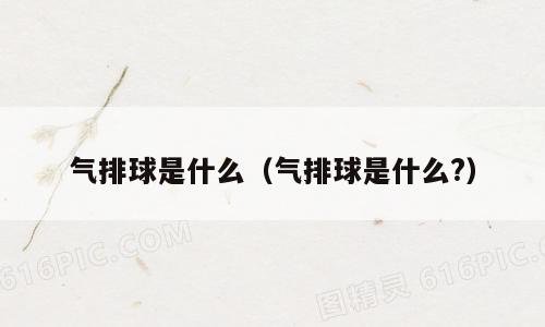 气排球是什么（气排球是什么?）
