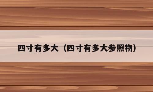 四寸有多大（四寸有多大参照物）