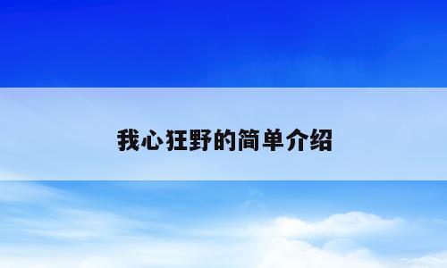 我心狂野的简单介绍