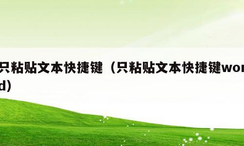 只粘贴文本快捷键（只粘贴文本快捷键word）