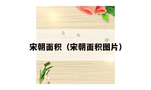 宋朝面积（宋朝面积图片）
