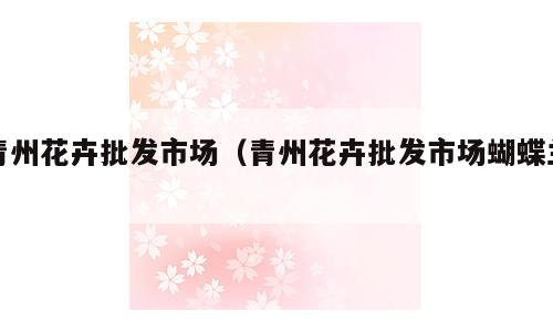 青州花卉批发市场（青州花卉批发市场蝴蝶兰）