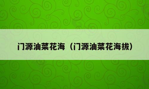 门源油菜花海（门源油菜花海拔）