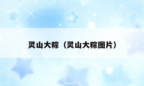 灵山大粽（灵山大粽图片）