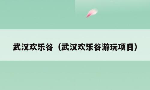 武汉欢乐谷（武汉欢乐谷游玩项目）