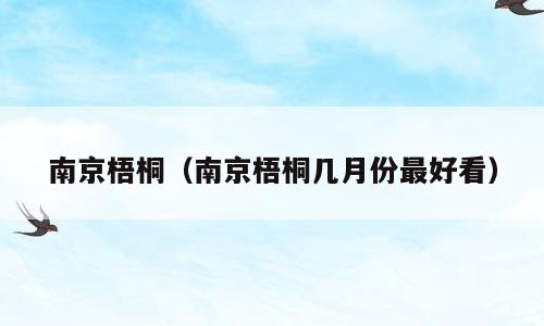 南京梧桐（南京梧桐几月份最好看）