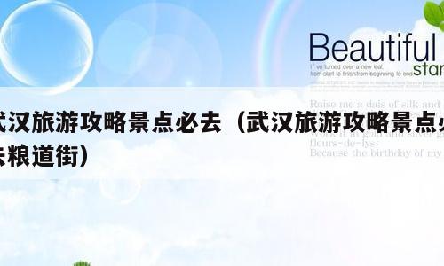 武汉旅游攻略景点必去（武汉旅游攻略景点必去粮道街）