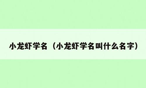 小龙虾学名（小龙虾学名叫什么名字）
