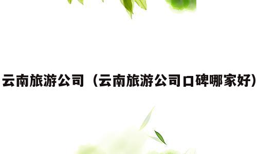 云南旅游公司（云南旅游公司口碑哪家好）