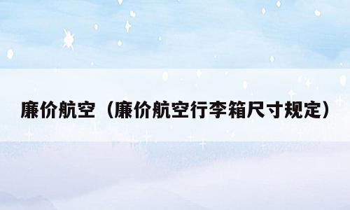 廉价航空（廉价航空行李箱尺寸规定）