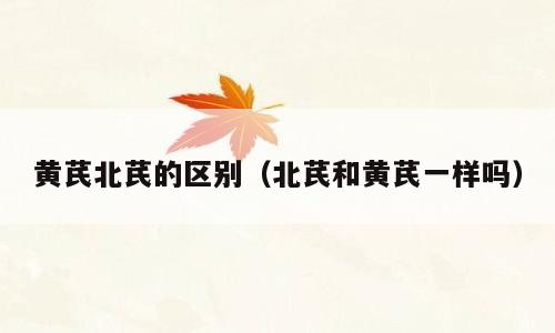 黄芪北芪的区别（北芪和黄芪一样吗）
