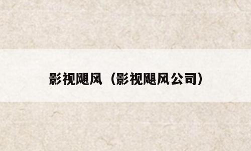 影视飓风（影视飓风公司）